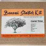 Bonsai Starter Kit - Coral tree (Erythrina lysistemon)