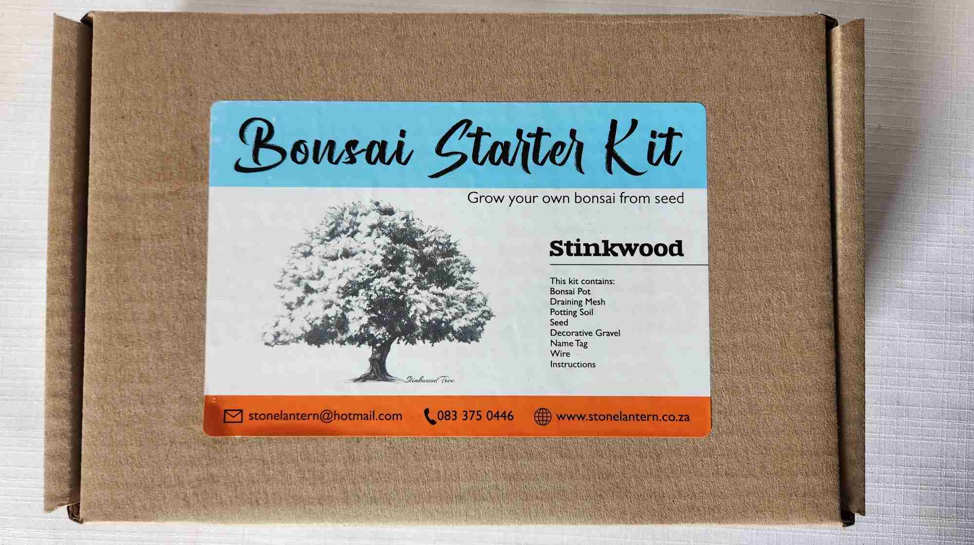 Bonsai Starter Kit - White Stinkwood (Celtis africana)