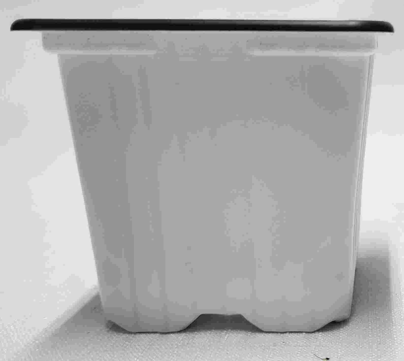 Plastic seedling pots - 7 x 7 x 6 cm - White - Image 4