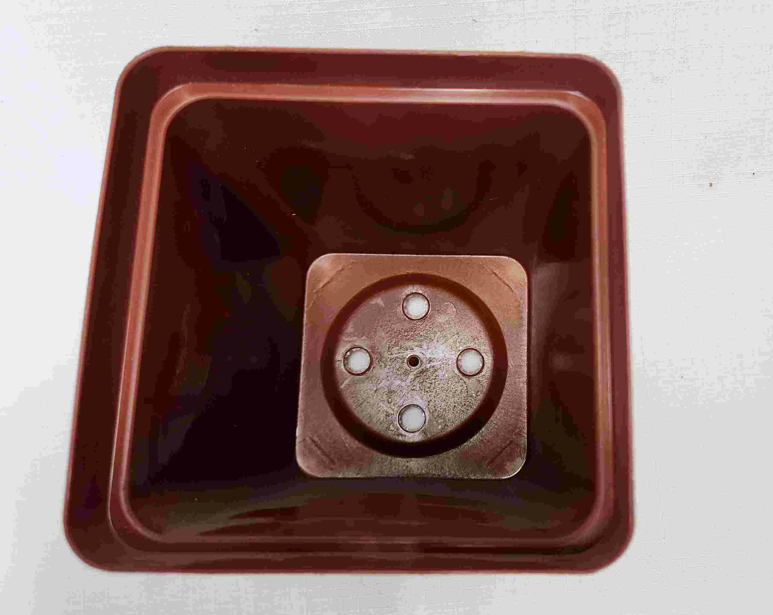 Square Plastic Training pot - Terracotta - 12 cm - Image 3