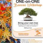 Workshops - One-on-One Workshops