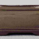 Glazed Mustard Bonsai Pot - 6"
