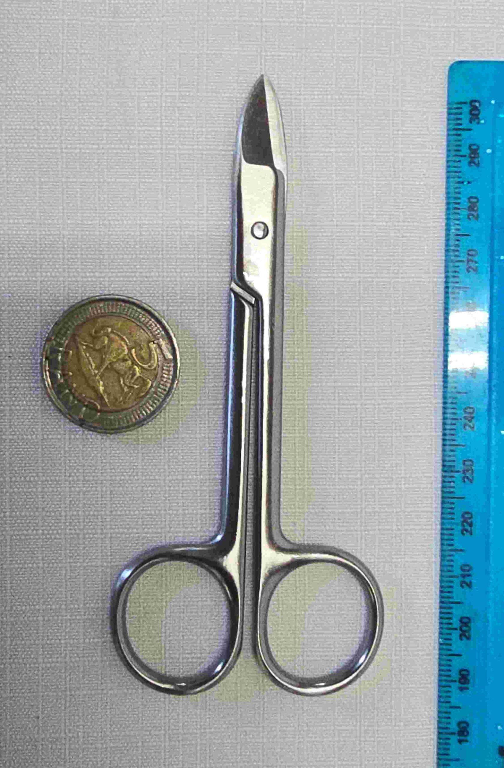 Ryuga Stainless Steel Bud Shear - 115 mm - Image 4