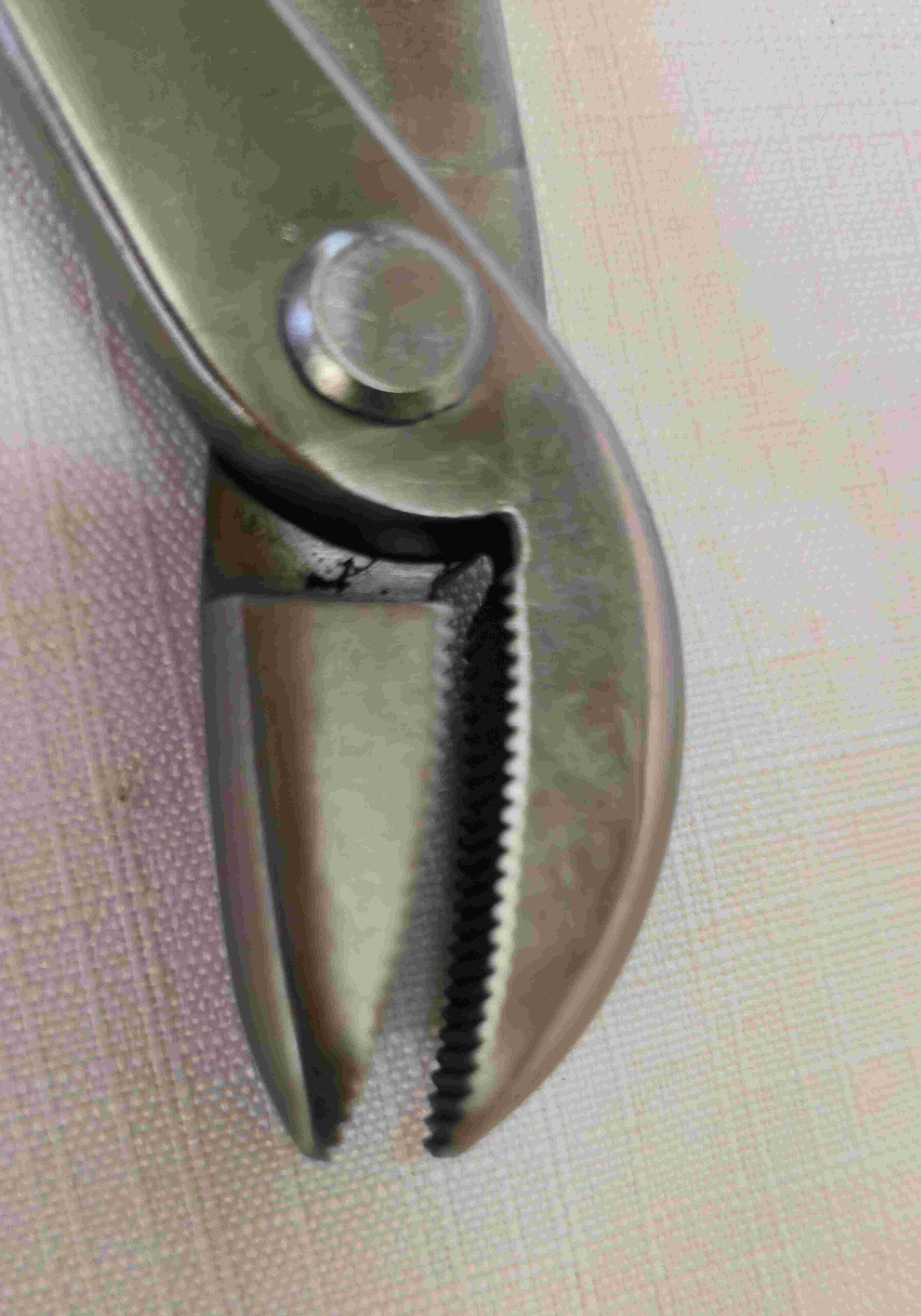 Ryuga Stainless Steel Jin Pliers Bend Head - 225mm - Image 5