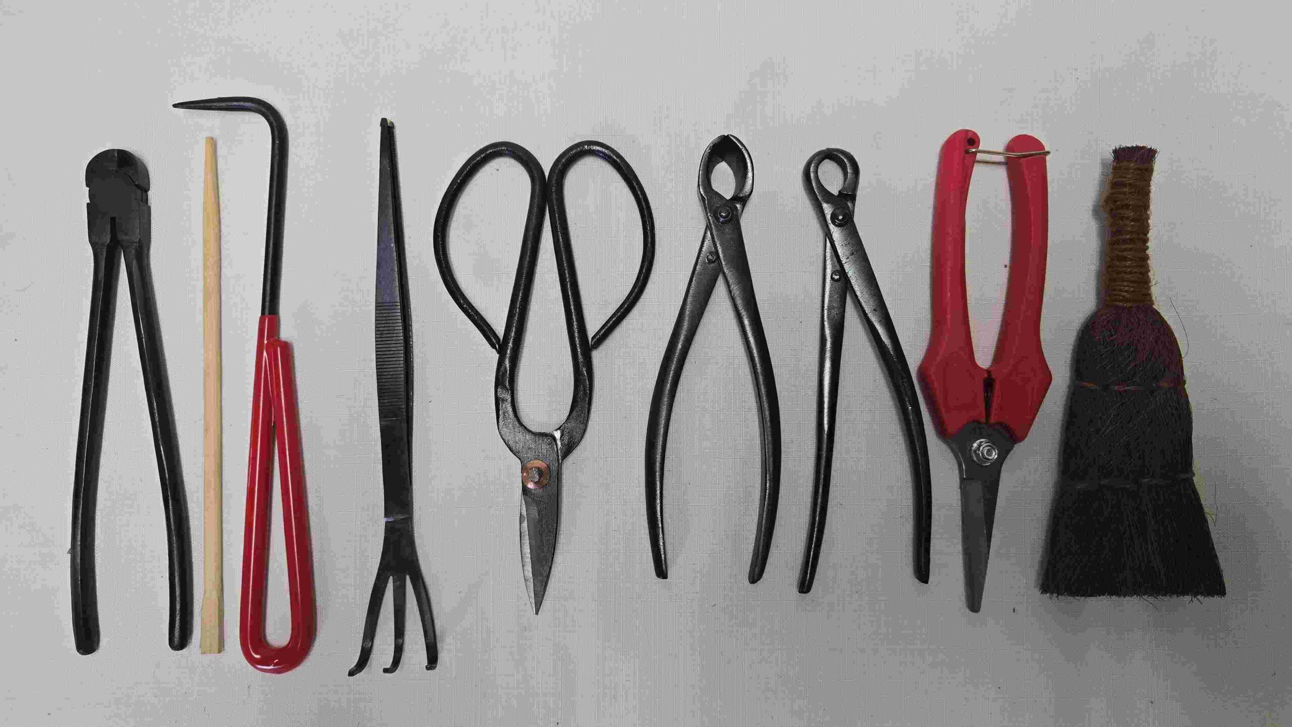 Bonsai Tool Kit - Basic Bonsai Beginners Kit #2