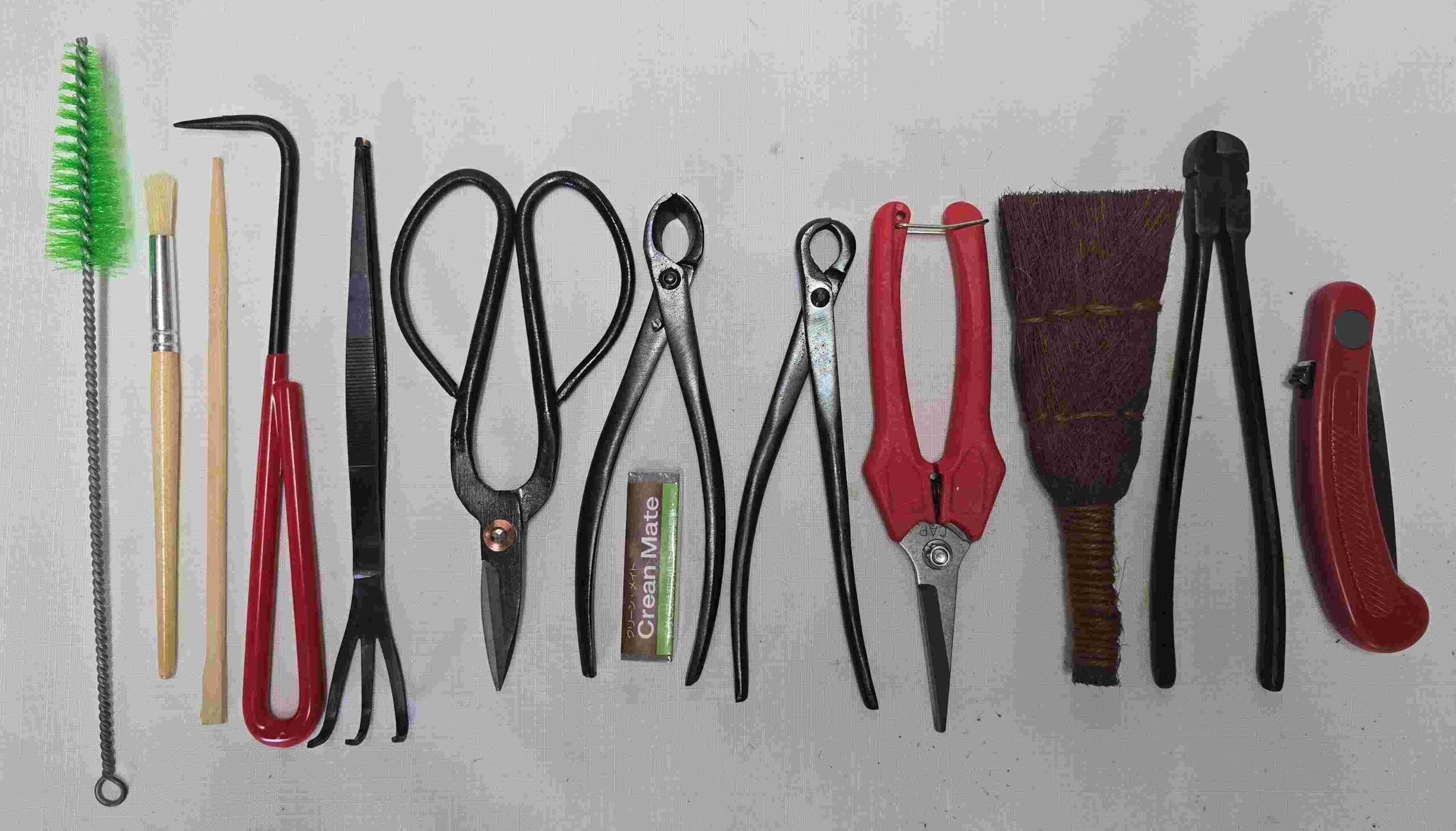 Bonsai Tool Kit - Bonsai Beginners Kit #4
