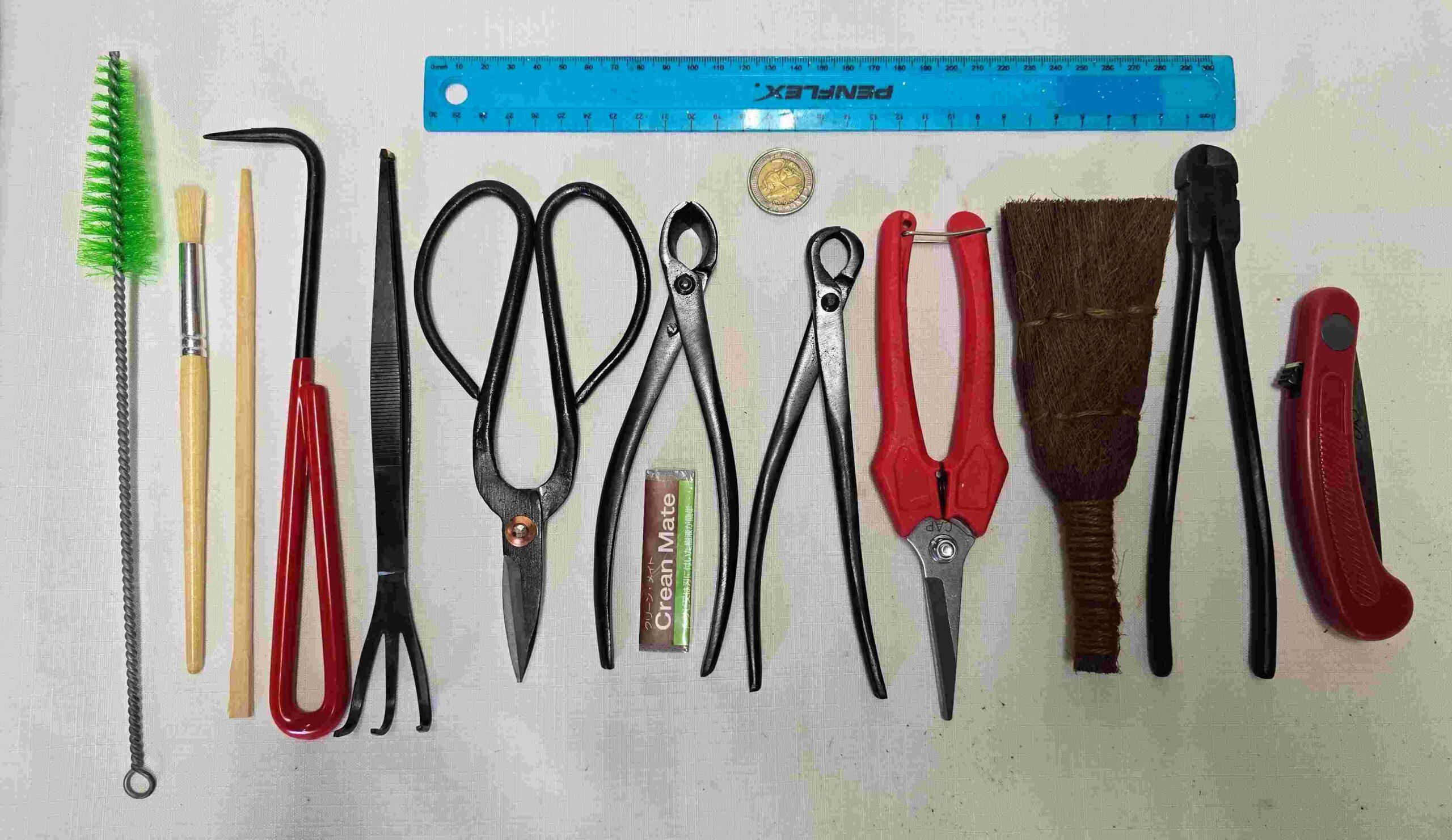 Bonsai Tool Kit - Bonsai Beginners Kit #4 - Image 2