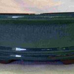 Glaze Turquoise Oval  Bonsai Pot - 10"