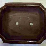 Glaze Brown Rectangular Bonsai Pot - 10"