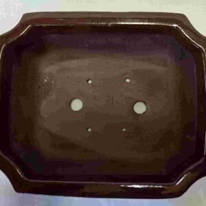 Glaze Brown Rectangular Bonsai Pot - 10"