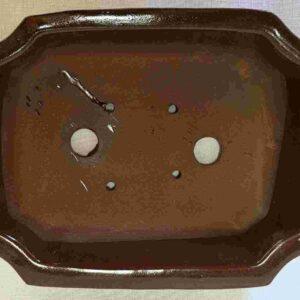 Glaze Brown Square Bonsai Pot - 8"